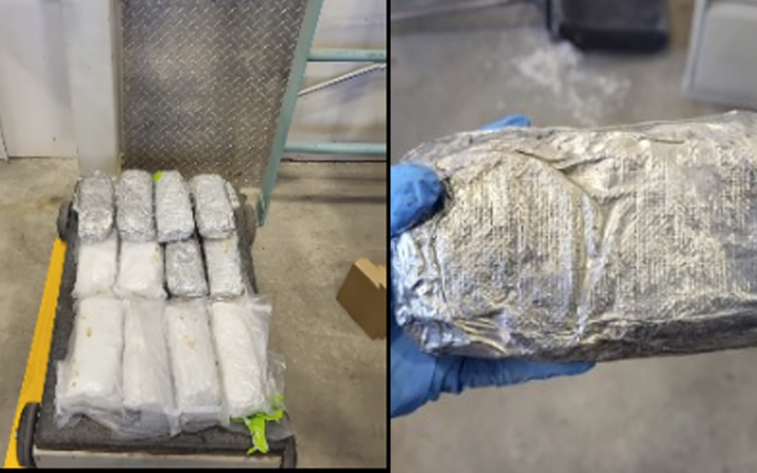 Incautación de metanfetamina: 24 libras decomisadas en el puerto de entrada de Santa Teresa
