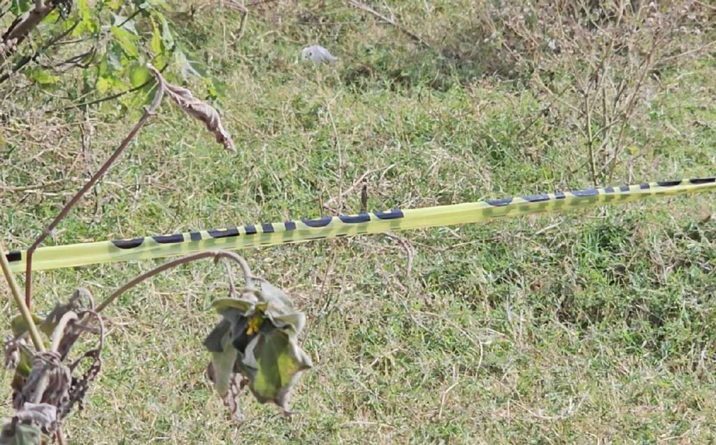 Restos Humanos Hallados en Fosa Clandestina en Tlajomulco: Investigaciones en Curso