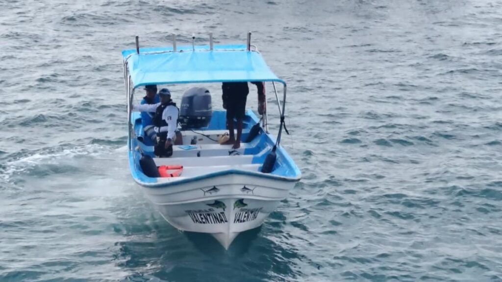 Trágica muerte de mujer estadounidense en Puerto Vallarta tras colisión con ballena