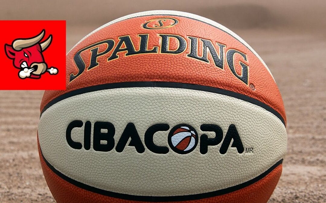 Partido Inaugural de los Toros Laguna contra Venados de Mazatlán: Un Evento Imperdible